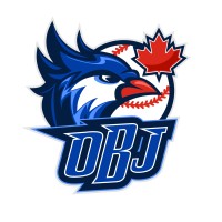 The Ontario Blue Jays logo - Similar company to Mountnic
