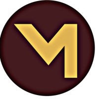 MAGNIVE TECHNOLOGIES logo - Similar company to Bitzmatic