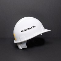 Avalon Company logo - Similar company to Le Topic'