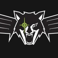 Sky Wolf Solutions logo - Similar company to Viper Transitions