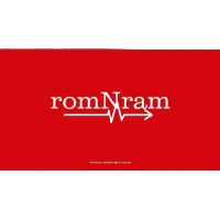 romNram logo - Similar company to Emr Software In Qatar