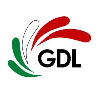 GDL CONNECT logo - Similar company to Coatí Services