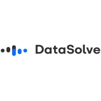 DataSolve logo - Similar company to Datasolve Inc