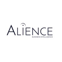 Alience Business Intelligence logo - Similar company to Groupe Sofinor