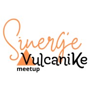 SINERGIE VULCANIKE logo - Similar company to Fi-Virtual Assistant