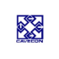 CAMARA VENEZOLANA DE EMPRESAS CONSULTORAS logo - Similar company to Megagroup, Ca