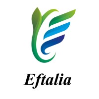 Eftalia Turkey logo - Similar company to Nile Creative Studio