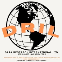 Data Research International Ltd logo - Similar company to Asia Diligence