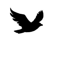 Hire Flyer logo - Similar company to Storian