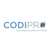 CODIPRO225 logo - Similar company to Service Transit Inter