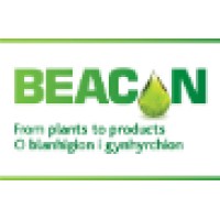 BEACON Wales logo - Similar company to Ray Lodge Primary School