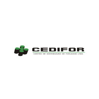 CEDIFOR CENTRO DE DISTRIBUIÇÃO DE FORJADOS LTDA logo - Similar company to Argo Aço