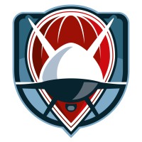 From Balloons to Drones logo - Similar company to Project 77