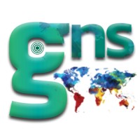 Gaea Network Solutions logo - Similar company to Bless Network Sas