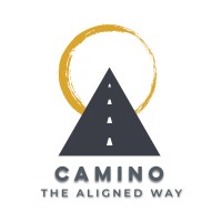 Camino logo - Similar company to Stem Software