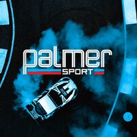 PalmerSport logo - Similar company to The Tree Group