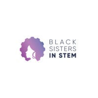Black Sisters in STEM logo - Similar company to Amdor Analytics