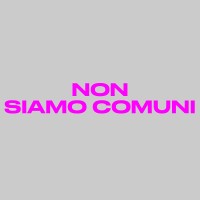 Non siamo comuni logo - Similar company to (Ab)Normal