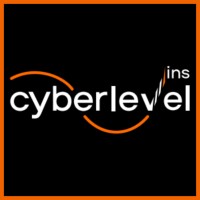 Cyber Level Ins Romania logo - Similar company to Cybersec Solutions