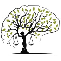 Peak Medicolegal Services LTD logo - Similar company to Expert Strategy Group