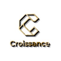 Croissance logo - Similar company to Digital Netsol