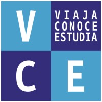 VCE International logo - Similar company to Ilf & Workshops