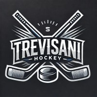 Trevisani Hockey logo - Similar company to Radius®