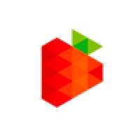 Strawberry Ideas & Solutions