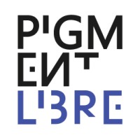 Pigment Libre, **success design** agency logo - Similar company to Star'S Computer & Consulting