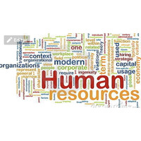 Capta Recursos Humanos logo - Similar company to Nexos Recursos Humanos