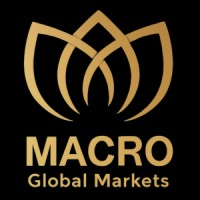 Macro Market Solutions logo - Similar company to Swiftwave Sdn Bhd