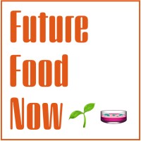 Future Food Now logo - Similar company to Better Bite Ventures