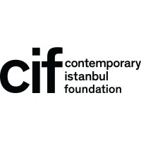 Contemporary Istanbul Foundation logo - Similar company to Nelumbo Studios