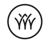 Evolving Forests logo - Similar company to Studio Sarmite