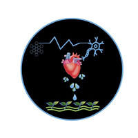 RAAN Vision FOUNDATION logo - Similar company to No Limit Performance