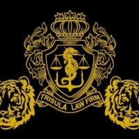Trisula Law Firm logo - Similar company to Msp Recovery Law Firm