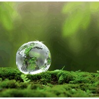 Travel Impactful