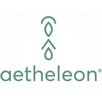 Aetheleon logo - Similar company to Vmfn® | Quality Systems Assurance And Auditing Company