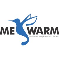 MESWARM logo - Similar company to Vippa Group