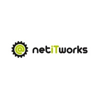 netiTworks logo - Similar company to Ctotech