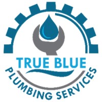 True Blue Plumbing Services logo - Similar company to Ctsi