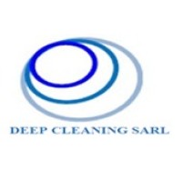 DEEP CLEANING SARL AU logo - Similar company to Alofixit Sarl