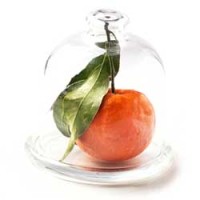 Tangerine Marketing