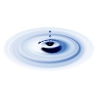 Learners at the Center, LLC logo - Similar company to Gnome Surf