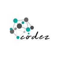 CodezTech logo - Similar company to Codeztech