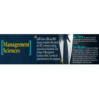 College of Management Sciences (KIET) logo - Similar company to Vertex Global