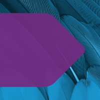 Dentons Sirote logo - Similar company to Hand Arendall Harrison Sale Llc