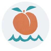 Apricot Sea logo - Similar company to Cid Foundation