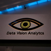 Data Vision Analytics logo - Similar company to Insightiq