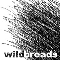 Nomad Breads logo - Similar company to Active Adventures